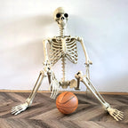 Halloween Realistic Body Bones Life Size Human Skeleton With Posable Joints Simulation Skull Ornament Haunted House Horror Props