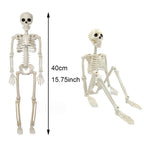 Halloween Decorations Skeleton,Posable Human Shape Skeleton,Halloween Fake Bone Horror Decoration
