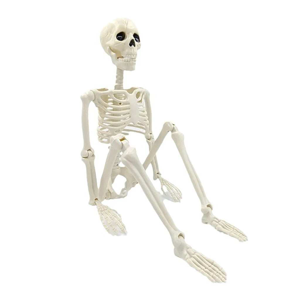 Halloween Decorations Skeleton,Posable Human Shape Skeleton,Halloween Fake Bone Horror Decoration
