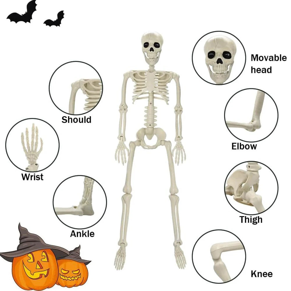 Halloween Decorations Skeleton,Posable Human Shape Skeleton,Halloween Fake Bone Horror Decoration