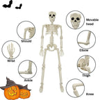 Halloween Decorations Skeleton,Posable Human Shape Skeleton,Halloween Fake Bone Horror Decoration