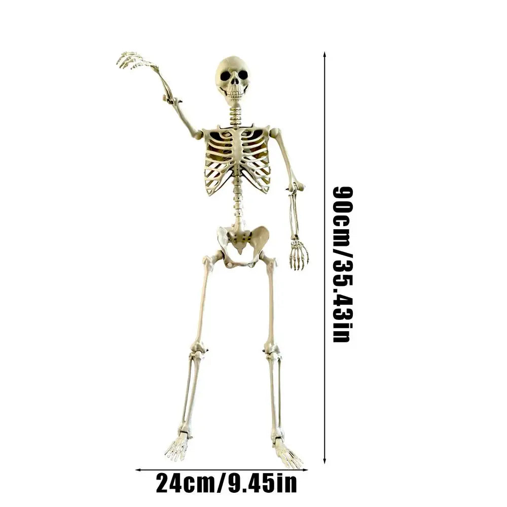 Halloween Realistic Body Bones Life Size Human Skeleton With Posable Joints Simulation Skull Ornament Haunted House Horror Props